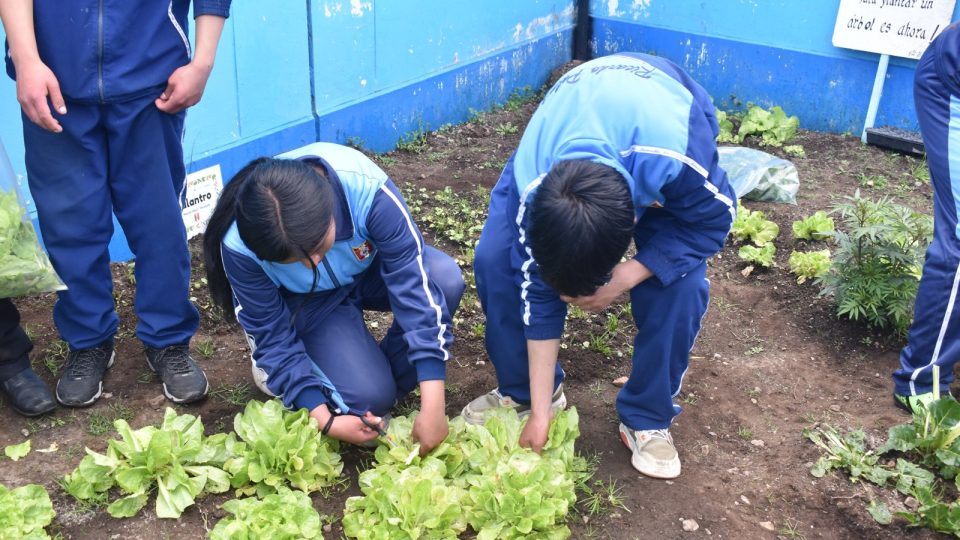 SODEXO: GESTIÓN AMBIENTAL JUNTO A SUS SOCIOS ESTRATÉGICOS EN MINERÍA